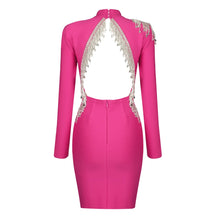 Sophia Embellished Designer Dress