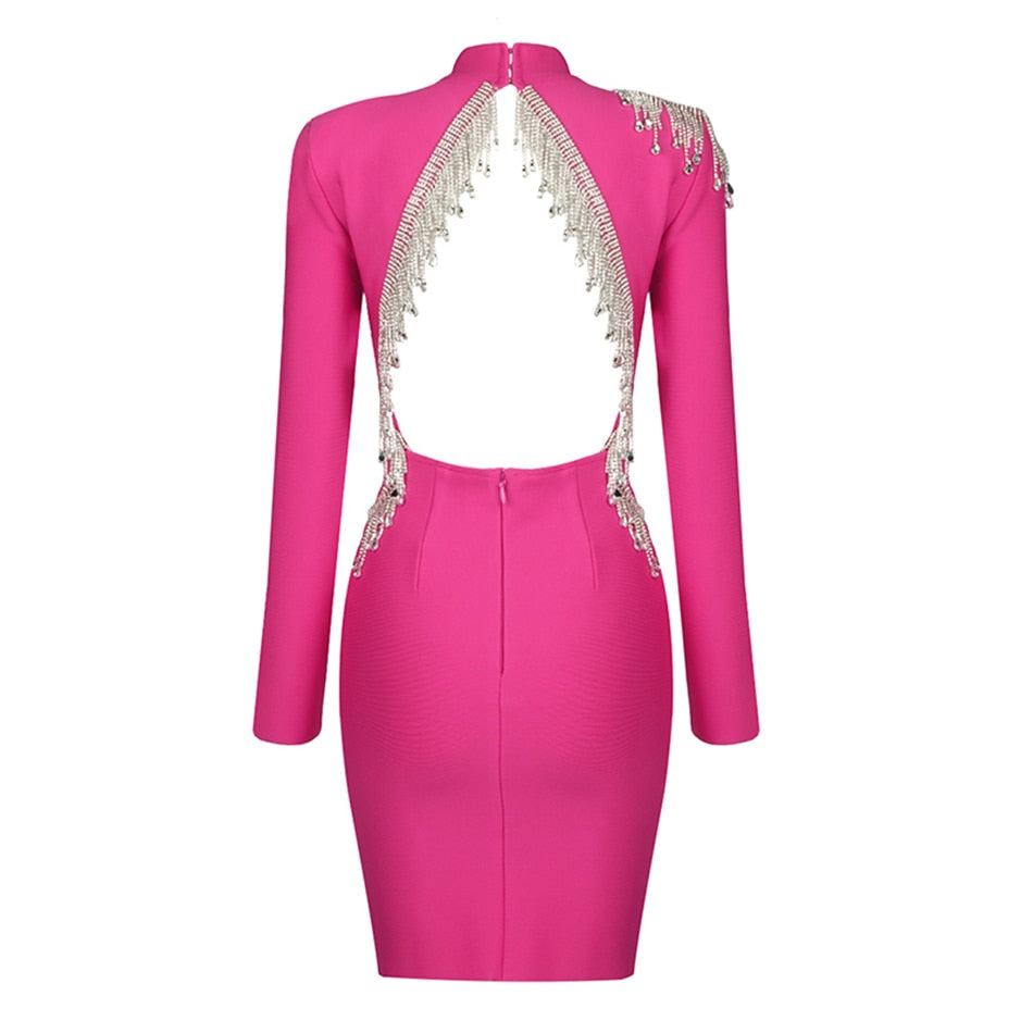 Sophia Embellished Designer Dress