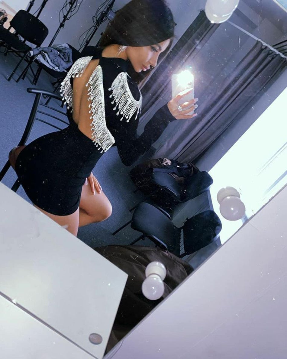 Sophia Embellished Designer Dress