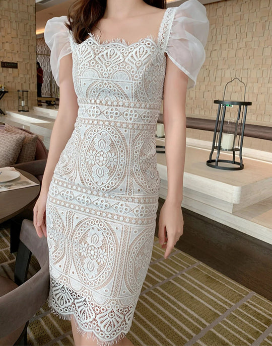 Celestial Embroidered lace Dress