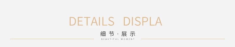 Celestial Embroidered lace Dress