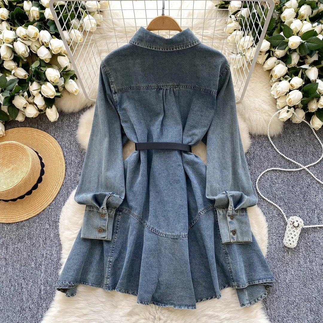 Katherine Denim Dress with Belt