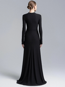Genelia Bodycon Dress