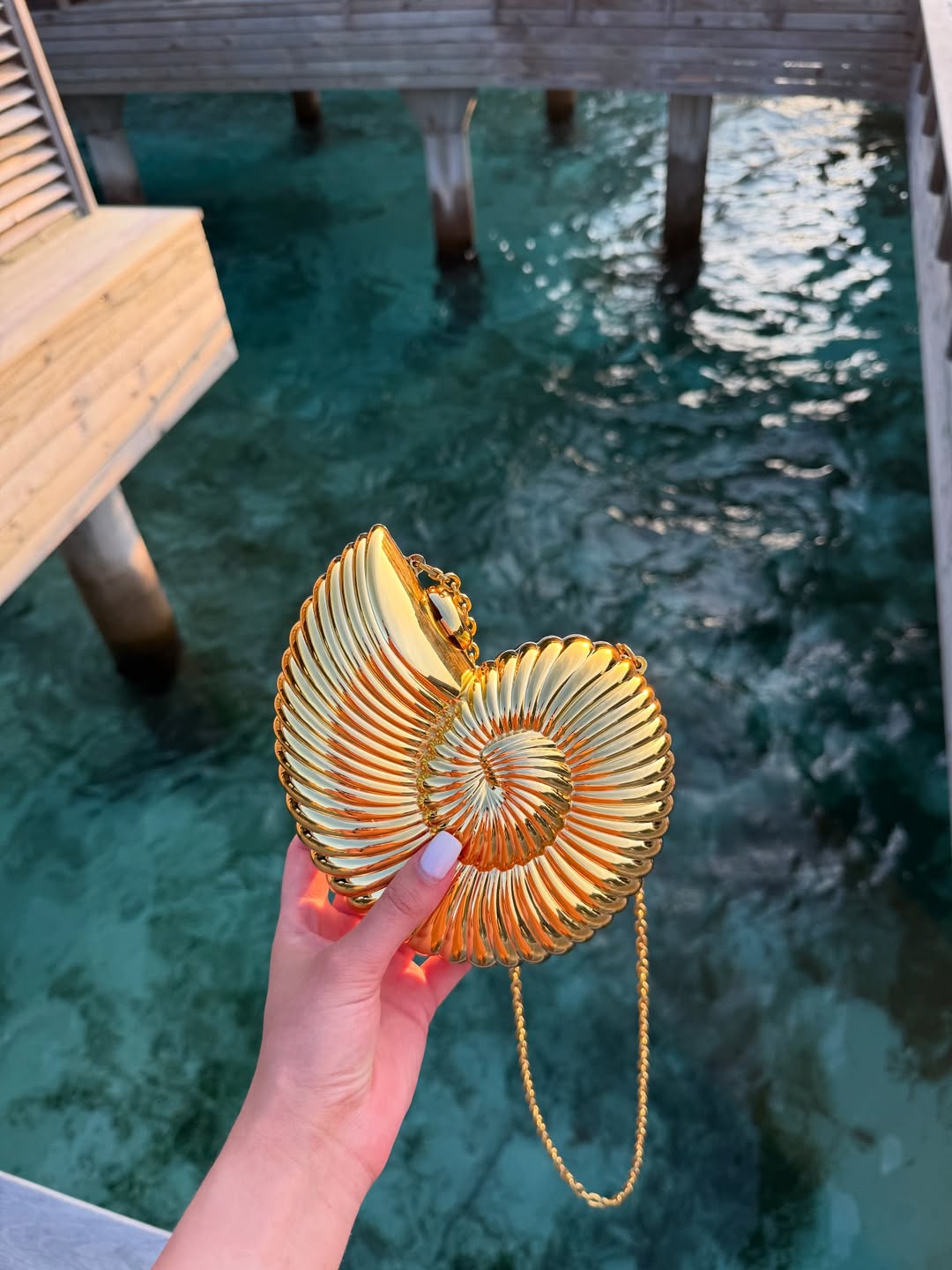 Designer Conch Bag