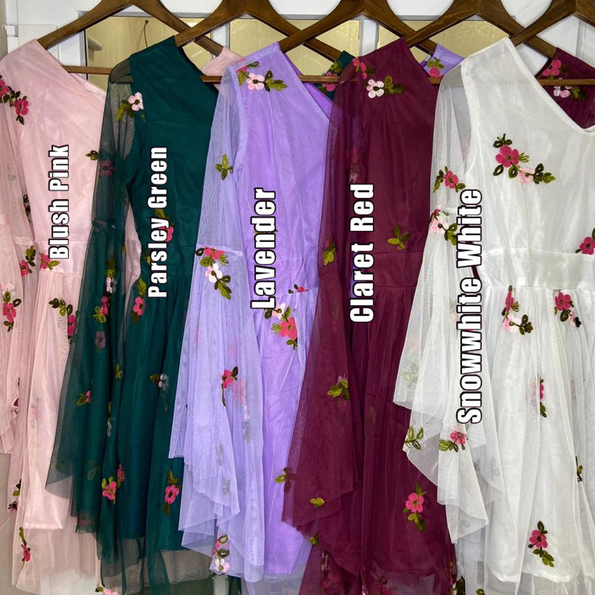 Lisse Embroidered Dress