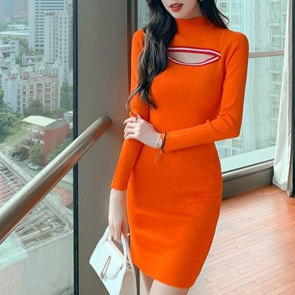 Soneya High Neck Bodycon Dress