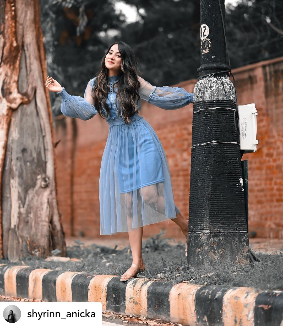 Sicilian Lace Long Veil Dress