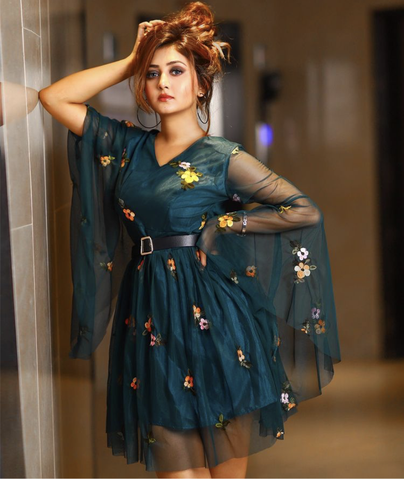 Lisse Embroidered Dress