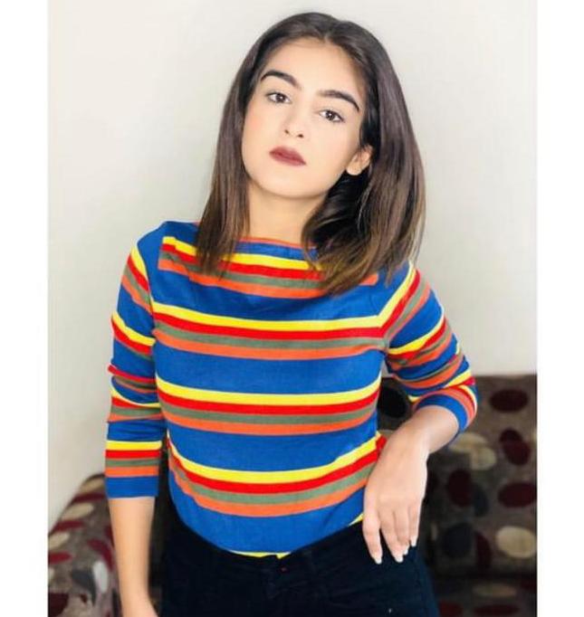 Daisy multi shade striped top